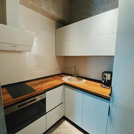 Apartment Arcadia Loft 117 *
